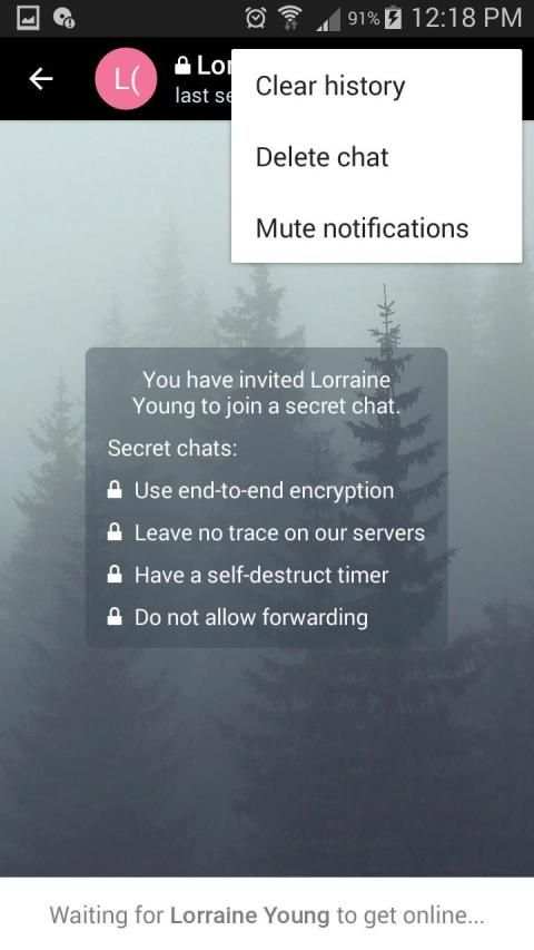 Mini Chat screenshot 8
