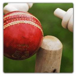 Chauka Cricket Scoring App