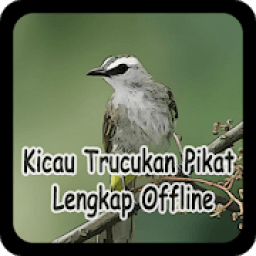 Kicau Trucukan Pikat Lengkap Offline icon