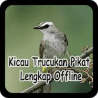 Kicau Trucukan Pikat Lengkap Offline on 9Apps