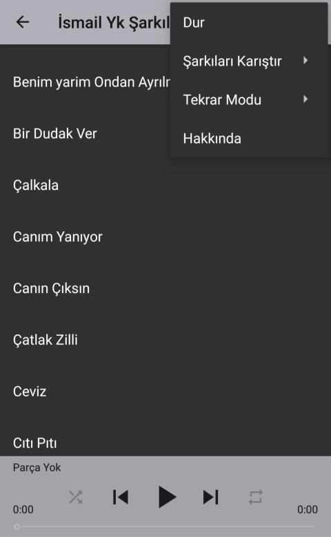 En Güzel İsmail Yk Şarkıları 2019 स्क्रीनशॉट 1