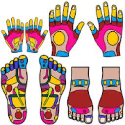 Reflexology Guide