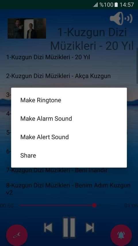 Kuzgun Dizi Müzikleri // Zil Sesi Özellikli kalite screenshot 1