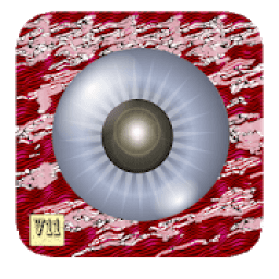 ikon Camera vivo For V11 Pro