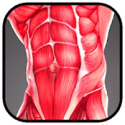 Fast Abs workout - do exercise at home &amp; lose fat icon