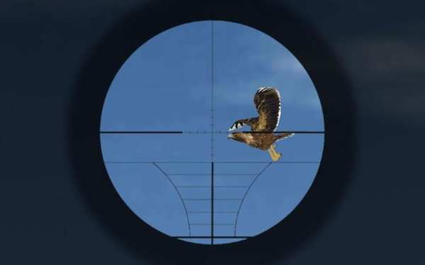 Sniper Hunter 3D स्क्रीनशॉट 6