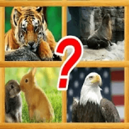 Adivina el Animal icon