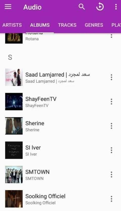 music player pro:Lark Music Player स्क्रीनशॉट 1