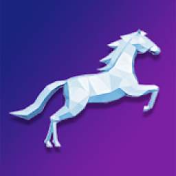 Horse Runner - Unicorn