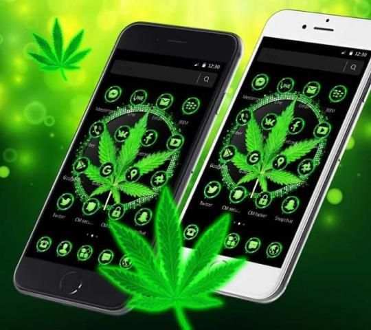 Neon Weed Rasta Theme screenshot 4