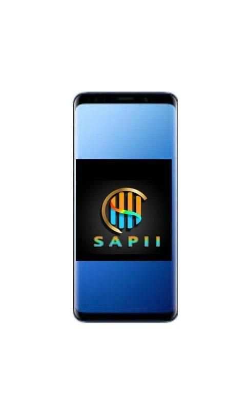 SAPII MAKE MONEY स्क्रीनशॉट 2