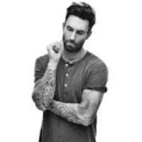 Adam Levine (hit) // without internet