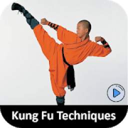 Learn Kung Fu Techniques