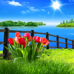 Spring Live Wallpaper आइकन