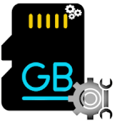 ikon Repair memory sd