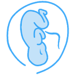 ikon Pregnancy Calculator