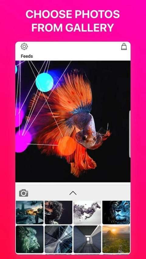Photo Animator Effects स्क्रीनशॉट 2
