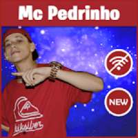 mc pedrinho 2019 musicas on 9Apps