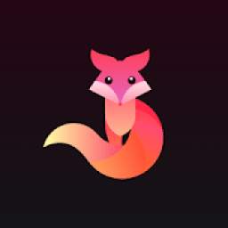 Videoleap 1.0.0.3