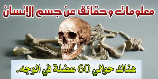 حقائق ومعلومات عن جسم الإنسان - 60 معلومة طبية
‎ screenshot 3