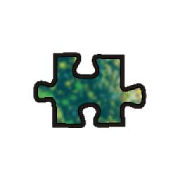 Ja-Ja-Jiggy Jigsaw Puzzles