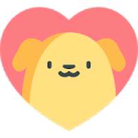 MiniDog Şifresiz Takipçi ve Beğeni on 9Apps