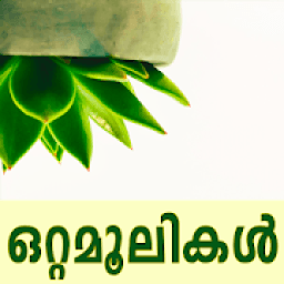 Ottamoolikal आइकन