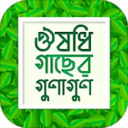 ঔষধি গাছের গুনাগুণ ভেষজ চিকিৎসা Herbal Medicine