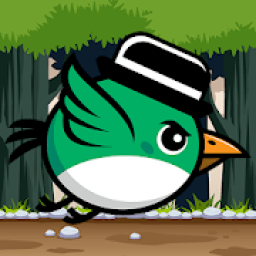 Bird in Hat Game आइकन