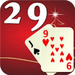 29 Cards 1.0.0