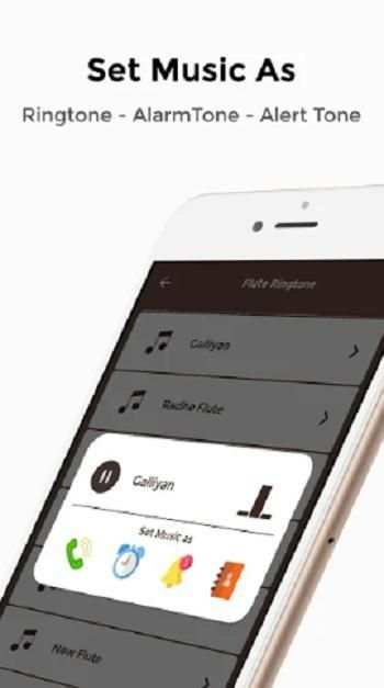 Flute Ringtones(Pashto Flute Ringtones) screenshot 2