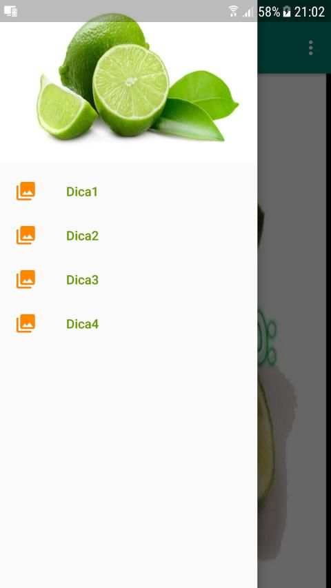 Dieta do Limão 100% Natural screenshot 2