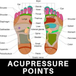 Acupressure Points आइकन