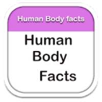 Human Body Facts