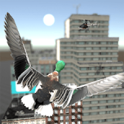 ikon San Andreas Flying Bird 3D