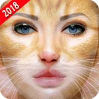 Morph Faces With Lions 2018 on 9Apps