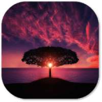 Nature Wallpaper on 9Apps