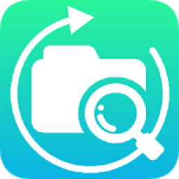 ikon Deleted Video Recovery