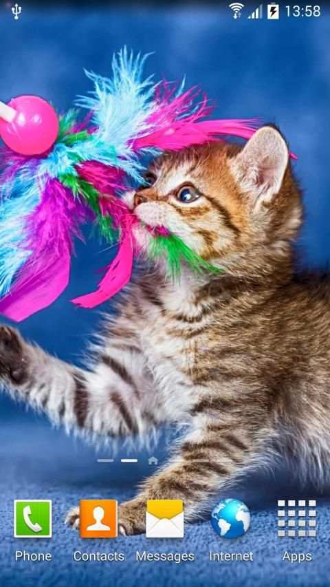 Cat Live Wallpaper स्क्रीनशॉट 13