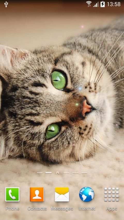 Cat Live Wallpaper स्क्रीनशॉट 14