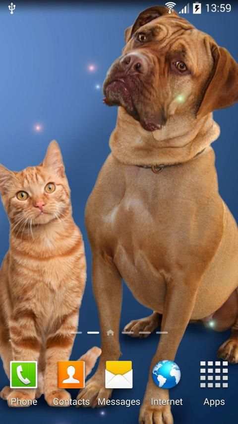 Cat Live Wallpaper स्क्रीनशॉट 9