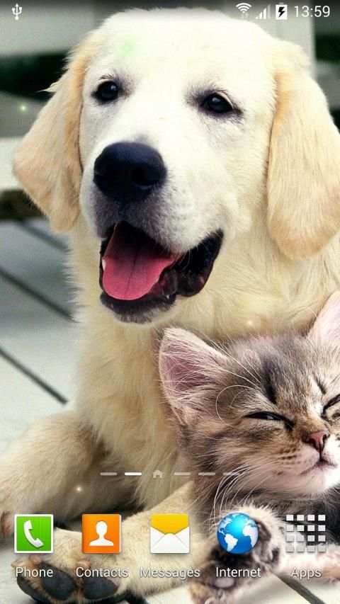 Cat Live Wallpaper स्क्रीनशॉट 10