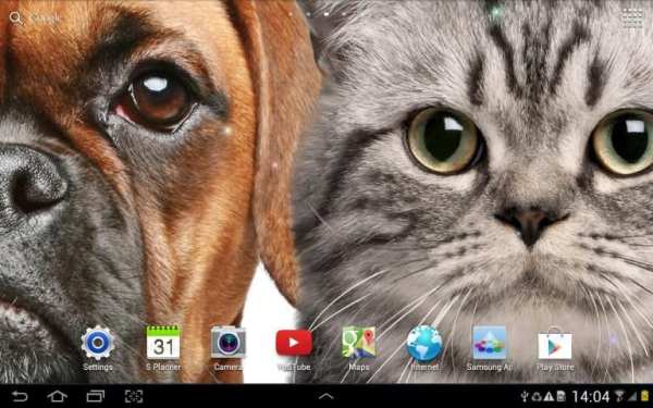 Cat Live Wallpaper स्क्रीनशॉट 2