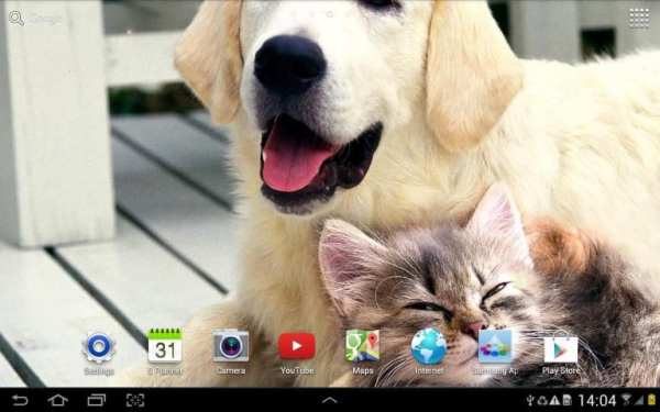 Cat Live Wallpaper screenshot 6