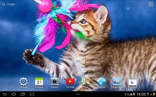 Cat Live Wallpaper screenshot 7