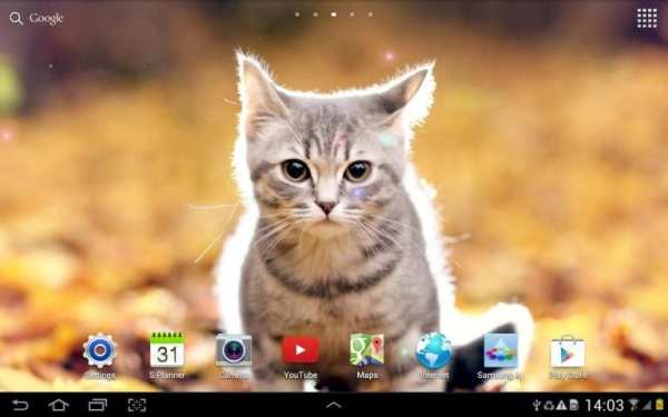 Cat Live Wallpaper screenshot 3