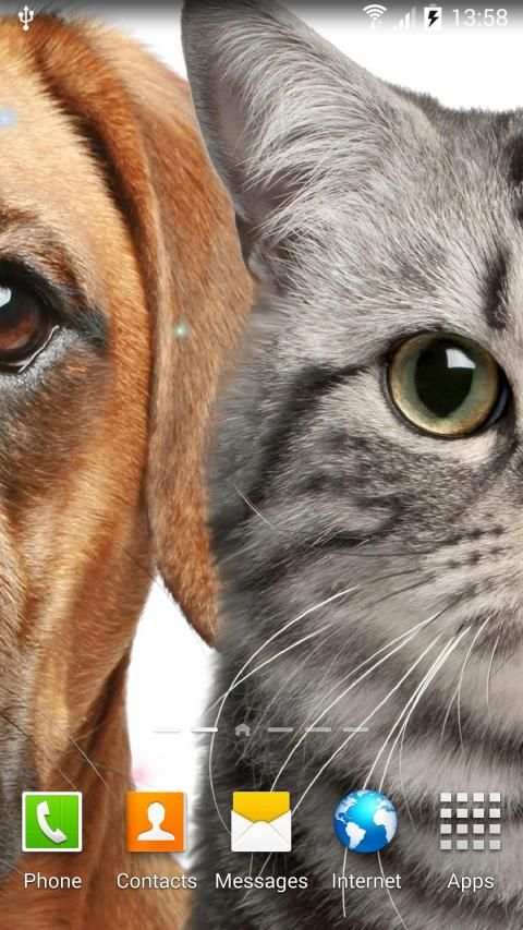 Cat Live Wallpaper स्क्रीनशॉट 11