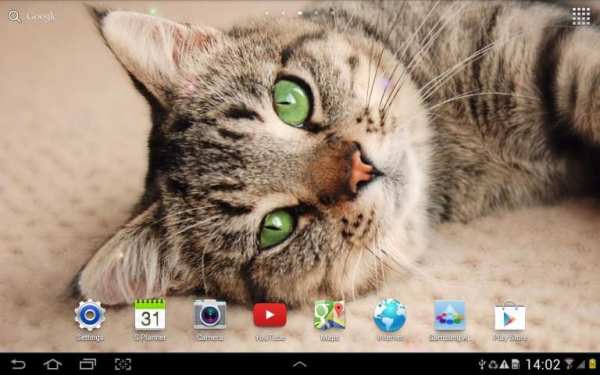 Cat Live Wallpaper स्क्रीनशॉट 8