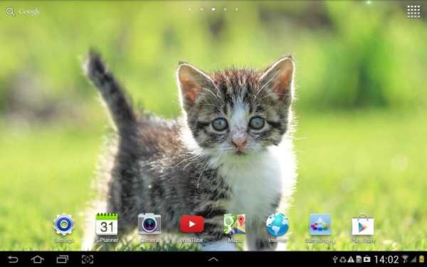 Cat Live Wallpaper स्क्रीनशॉट 4