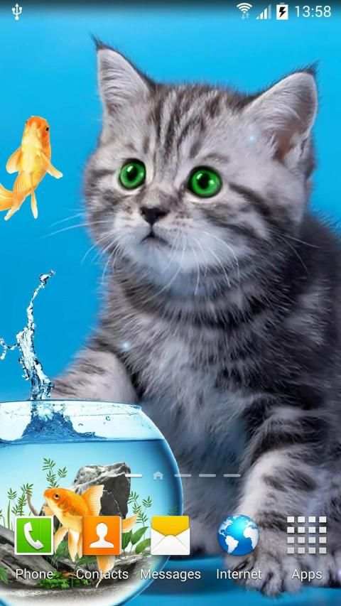 Cat Live Wallpaper screenshot 12